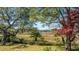Picturesque backyard with beautiful trees and peaceful marsh views at 1521 Hurtes Island Dr, Charleston, SC 29407