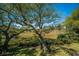 Backyard featuring mature trees that provide shade and a beautiful view of the marsh at 1521 Hurtes Island Dr, Charleston, SC 29407