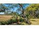 Backyard view of trees, plants, and scenic marshland at 1521 Hurtes Island Dr, Charleston, SC 29407