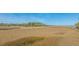Scenic marsh view with tall grasses and waterways extending to the horizon at 1521 Hurtes Island Dr, Charleston, SC 29407