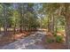 Gravel driveway leading through a canopy of trees to a beautiful property at 158 Woodland Oak Way, Summerville, SC 29485