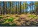 Expansive backyard with mature trees, a volleyball net, and ample space for outdoor activities at 161 Ryefield Ln, Ridgeville, SC 29472