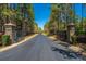 Elegant community entrance with stone pillars and black iron gates, surrounded by mature trees and lush landscaping at 161 Ryefield Ln, Ridgeville, SC 29472
