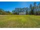 Vast backyard showcasing a spacious outbuilding with a three-door garage at 161 Ryefield Ln, Ridgeville, SC 29472