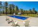 Inviting backyard pool with a slide and lounge seating, surrounded by lush greenery at 161 Ryefield Ln, Ridgeville, SC 29472
