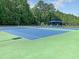 Well-maintained tennis courts featuring vibrant blue playing surface, complete with nets and lighting at 1808 Chauncys Ct, Mount Pleasant, SC 29466