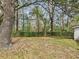 Expansive backyard with mature trees and lush greenery offers privacy and tranquility at 1876 Chilhowee Dr, Johns Island, SC 29455