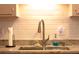 Close-up of a kitchen sink with a stylish faucet and tile backsplash at 208 Owens Dr, Summerville, SC 29485