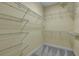 Bright walk-in closet with custom shelving and carpeted floor at 215 Angora Way, Summerville, SC 29485