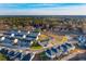 Panoramic aerial view of a community surrounded by lush greenery shows the neighborhood's tranquil setting at 316 Green Fern Dr, Summerville, SC 29483
