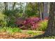 Backyard with blooming azalea bushes, trees and lush greenery create a colorful garden oasis at 4 St Teresa Dr, Charleston, SC 29407