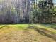 A spacious backyard showcases a lush green lawn and a border of trees, offering privacy and space for recreation at 482 Oak View Way, Summerville, SC 29483