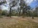 Spacious backyard area featuring many tall trees at 5367 Boone Run, Hollywood, SC 29449
