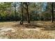 Backyard area with tire swing among the tall trees at 5367 Boone Run, Hollywood, SC 29449