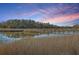 Scenic marsh view with a wooden walkway leading to a tranquil waterfront at 5758 Chisolm Rd, Johns Island, SC 29455