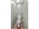 Small powder room with toilet and rustic laminate floors at 5758 Chisolm Rd, Johns Island, SC 29455
