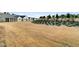 Expansive backyard with drought resistant lawn and serene landscaping at 663 Marsh Cove Cir, Summerville, SC 29486
