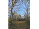 Picture of the hunting stand nestled in the trees, perfect for the hunting enthusiast at 10044 Randall Rd, McClellanville, SC 29458