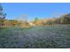 Large green grass field located in a rural area surrounded by various trees at 10044 Randall Rd, McClellanville, SC 29458