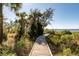 Inviting winding wooden walkway leading toward the ocean with lush green vegetation all around at 108 Salthouse Ln, Kiawah Island, SC 29455