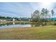 Beautiful view of the pond and community with colorful homes in the background at 1081 Magnolia Warbler Way, Ravenel, SC 29470
