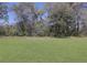 Open grassy backyard with flowering trees in the distance at 1298 French Santee Rd, Jamestown, SC 29453