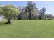 Expansive front yard featuring lush green grass, mature trees, and a beautifully blossoming tree near the house at 1298 French Santee Rd, Jamestown, SC 29453
