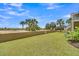 Beautiful backyard featuring a well-manicured lawn, palm trees, and beach access, creating a serene outdoor space at 1702 Palmetto Blvd, Edisto Island, SC 29438