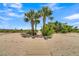 Inviting beach path with wooden walkway, leading to a relaxing beach, framed by lush greenery and palm trees at 1702 Palmetto Blvd, Edisto Island, SC 29438