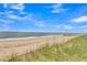 Scenic beach view with gentle waves and natural vegetation, offering a tranquil coastal experience at 1702 Palmetto Blvd, Edisto Island, SC 29438