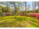 Green backyard with a fire pit and blooming landscaping surrounding the house at 205 Fairchild St, Daniel Island, SC 29492