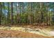 Lush backyard with mature trees, natural ground cover, and a peaceful atmosphere at 219 Tuscany Ct, Ladson, SC 29456