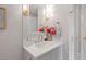 Bathroom featuring a white vanity, mirror, lighting, and red flowers at 233 S Plaza Ct # 210, Mount Pleasant, SC 29464