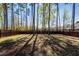 Large backyard featuring mature trees and plenty of space for outdoor activities at 327 Freeland Way, Moncks Corner, SC 29461