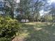 Spacious backyard with a storage shed, surrounded by lush trees and well-maintained lawn at 431 Otis Rd, Walterboro, SC 29488