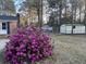 A spacious backyard view with well-maintained storage sheds and a vibrant flowering bush at 431 Otis Rd, Walterboro, SC 29488