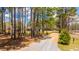 Long private driveway leading to a secluded home surrounded by tall pine trees and natural beauty at 508 Horse Trail Rd, Saint George, SC 29477