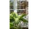 Lush landscaping frames the home, complementing the white window frames at 56 Parkwood Ave, Charleston, SC 29403