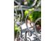 Close-up of an ornate iron gate with a blurred background of lush greenery at 56 Parkwood Ave, Charleston, SC 29403