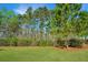Expansive backyard with lush green grass and tall trees, offering a private and serene outdoor space at 566 Four Seasons Blvd, Summerville, SC 29486