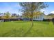 Wide green lawn and a shade tree in the well-manicured backyard with house exterior views at 804 Buckler St, Summerville, SC 29486
