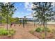Community playground with swings, slides, and benches surrounded by lush landscaping at 804 Buckler St, Summerville, SC 29486