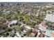 Overhead shot highlighting the community's layout, showcasing the tree-lined streets at 99 Logan St, Charleston, SC 29401