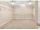 Spacious walk-in closet featuring custom shelving, a skylight, and carpeted floors at 1124 Clearspring Dr, Charleston, SC 29412