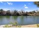 Scenic lake view with mature trees and a wooden deck, creating a serene outdoor space at 1213 Waterfront Dr, Mount Pleasant, SC 29464