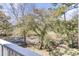 Scenic backyard view featuring mature trees and marshland, offering privacy and a natural setting at 1626 Bull Creek Ln, Charleston, SC 29414