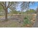 Scenic backyard with mature trees and natural creek creating a serene outdoor space at 1626 Bull Creek Ln, Charleston, SC 29414