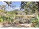 Backyard featuring a scenic marsh view, lush greenery, and mature trees under a partly cloudy sky at 1626 Bull Creek Ln, Charleston, SC 29414
