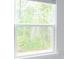 View from a window overlooking a lush forest at 436 Cedarview Rd, Summerville, SC 29486