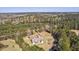 Aerial view of a house surrounded by lush greenery and a tranquil lake in a picturesque setting at 4846 Causey Pond Rd, Awendaw, SC 29429